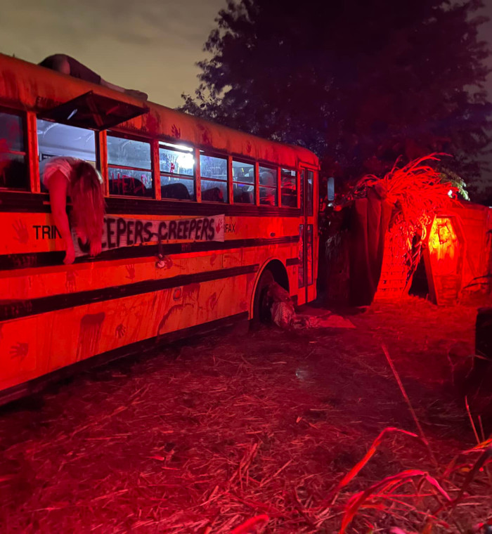 Bus